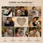 Truehug - Huggy´s